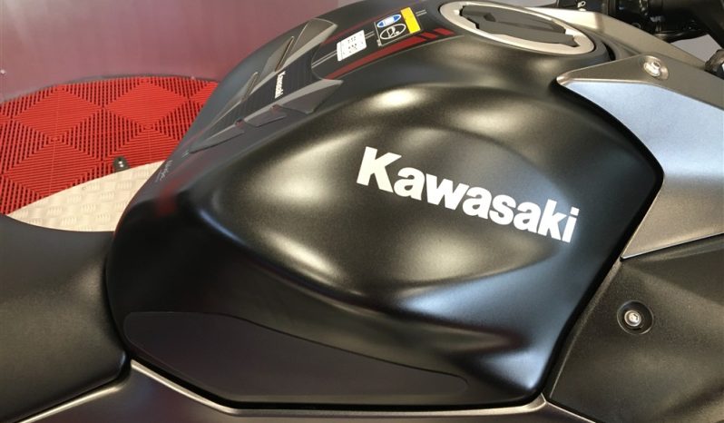2022 Kawasaki NINJA 650 full