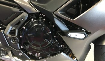2022 Kawasaki NINJA 650 full