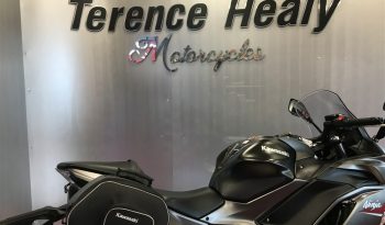 2022 Kawasaki NINJA 650 full