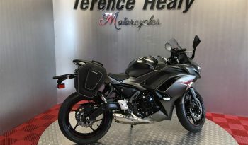 2022 Kawasaki NINJA 650 full
