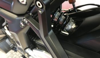 2022 Triumph Trident 660 full