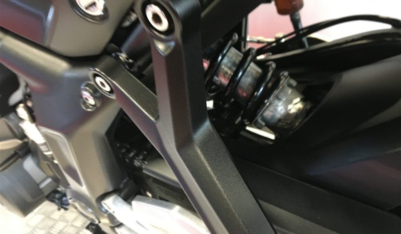 2022 Triumph Trident 660 full