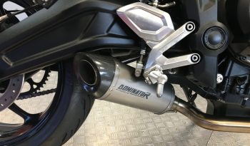 2022 Triumph Trident 660 full