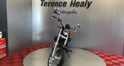 2011 Honda VT750S SHADOW