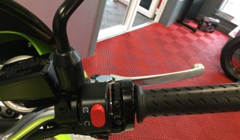 2008 Triumph Street Triple 675 full