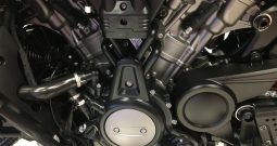 2022 Harley Davidson Pan America