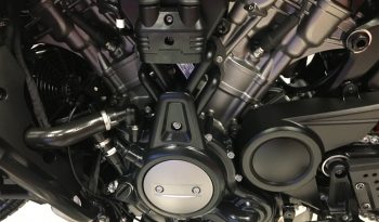2022 Harley Davidson Pan America full