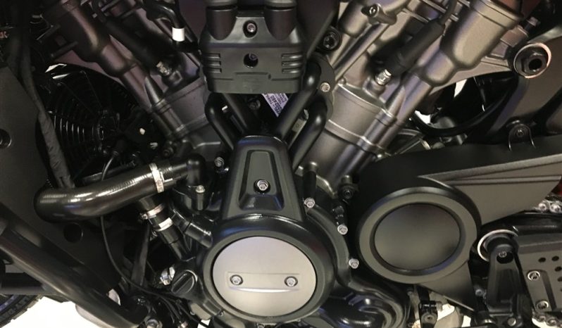 2022 Harley Davidson Pan America full