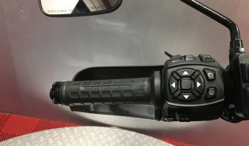 2022 Harley Davidson Pan America full
