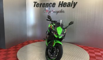2024 Kawasaki Ninja 650 full