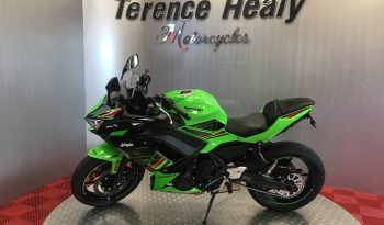 2024 Kawasaki Ninja 650 full