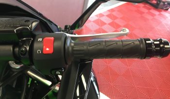 2024 Kawasaki Ninja 650 full