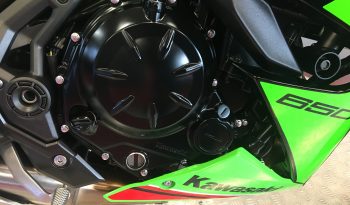 2024 Kawasaki Ninja 650 full