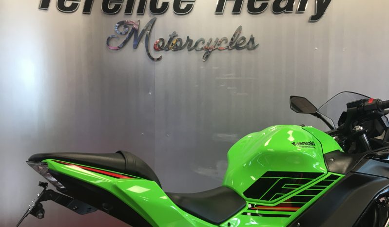 2024 Kawasaki Ninja 650 full