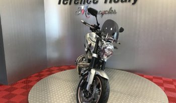 2009 Yamaha MT01 full