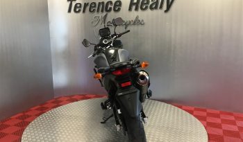 2016 Suzuki VStrom 650 full
