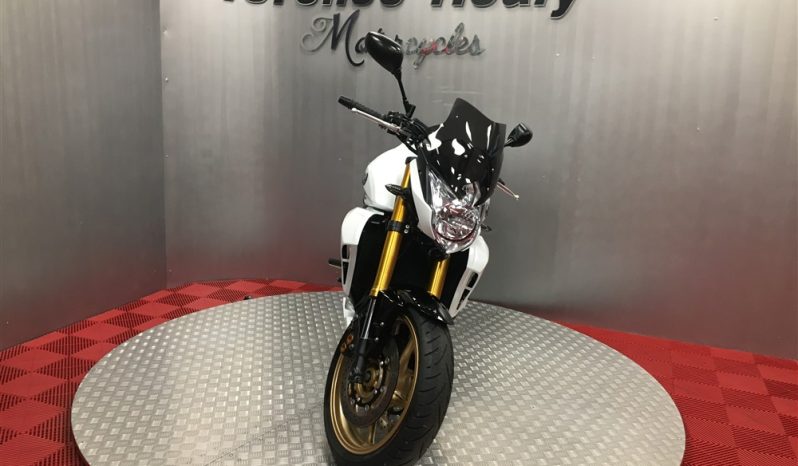2011 Yamaha FZ8 full