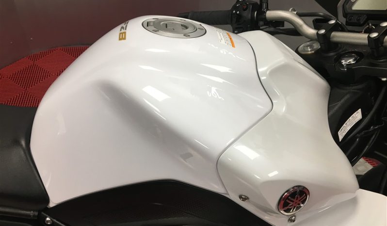 2011 Yamaha FZ8 full