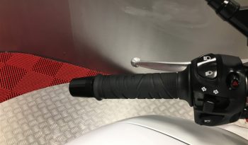 2011 Yamaha FZ8 full