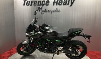 2023 Kawasaki Z650 full