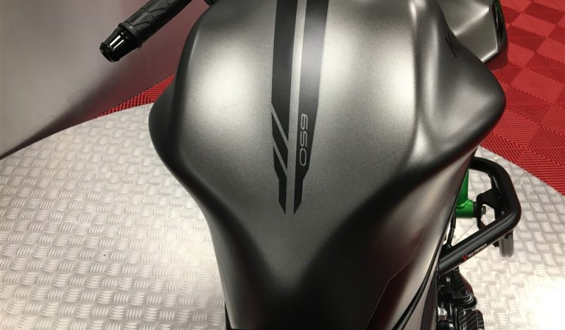 2023 Kawasaki Z650 full