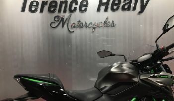 2023 Kawasaki Z650 full