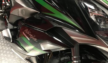 2020 Kawasaki Z1000SX full