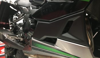 2020 Kawasaki Z1000SX full