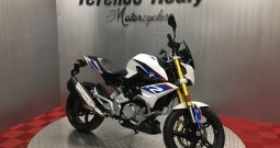 2018 BMW G310R Model