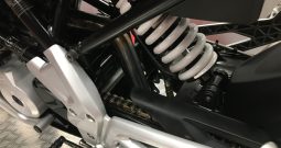 2018 BMW G310R Model