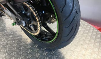 2021 Kawasaki Versys 650 full