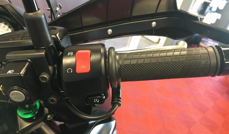 2021 Kawasaki Versys 650 full