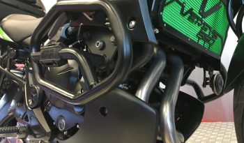 2021 Kawasaki Versys 650 full