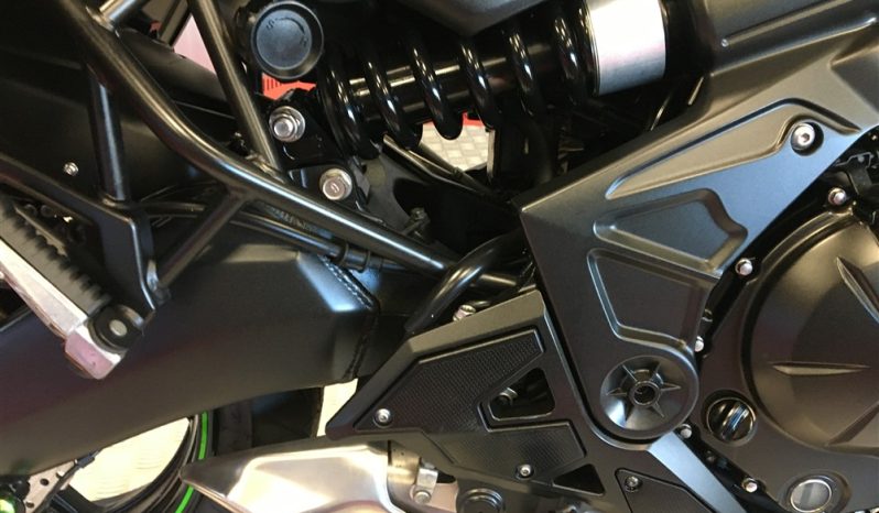 2021 Kawasaki Versys 650 full