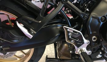 2024 Yamaha Tracer 9 GT full