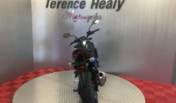 2021 Suzuki SV 650 full