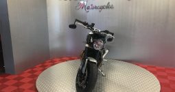 2022 Triumph Speed Twin