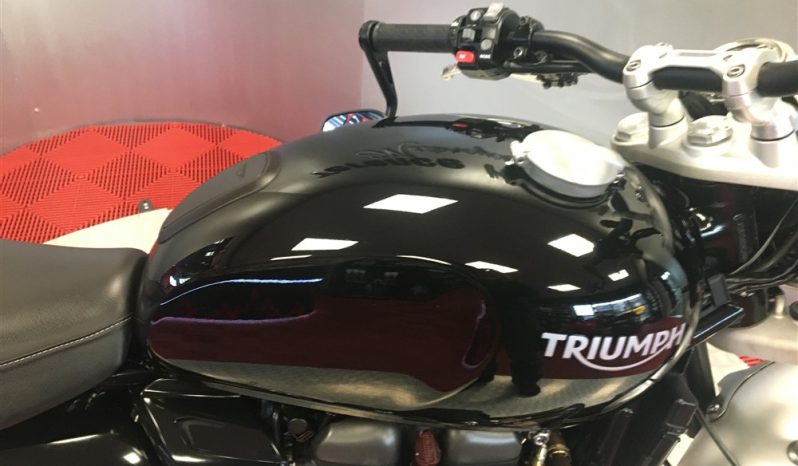 2022 Triumph Speed Twin full