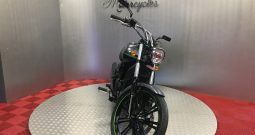 2013 Kawasaki VN900 CUSTOM